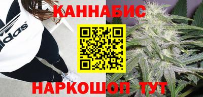 гидра Заводоуковск