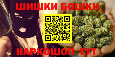 гидра Заводоуковск