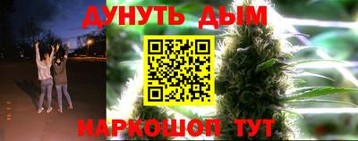 гидра Заводоуковск