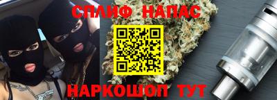 гидра Заводоуковск