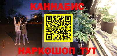 гидра Заводоуковск