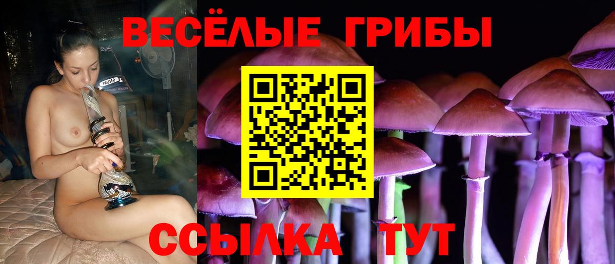 Псилоцибиновые грибы Magic Shrooms Тында