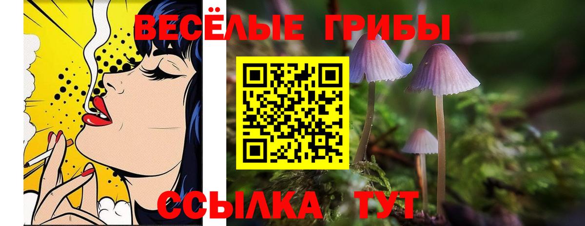 Тында  Галлюциногенные грибы ЛСД  Вход с VPN  где купить наркоту  Галлюциногенные грибы MAGIC MUSHROOMS 